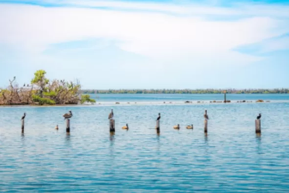 New User-Friendly Parking