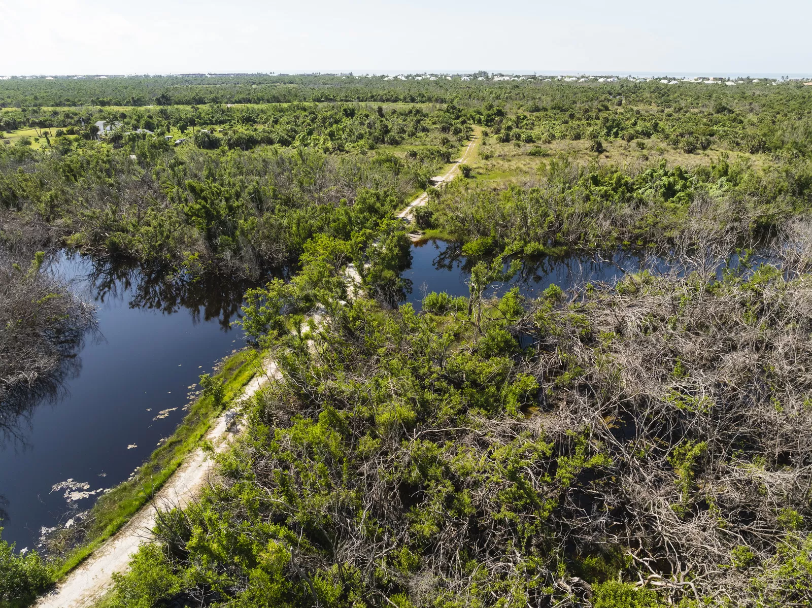 trail through Sanibel Island interior wetlands